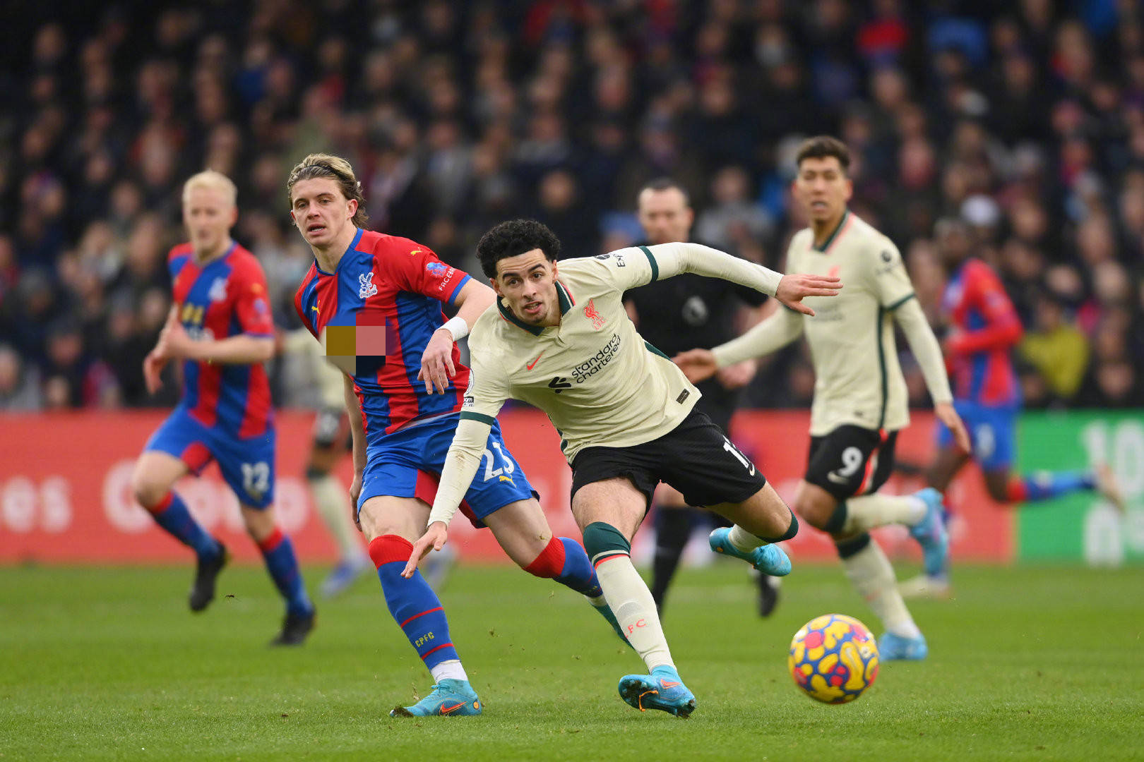 正确回合 正确回合